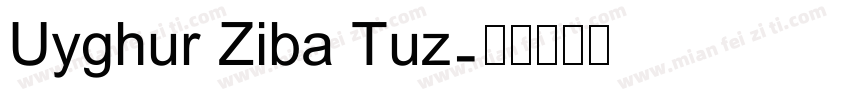 Uyghur Ziba Tuz字体转换